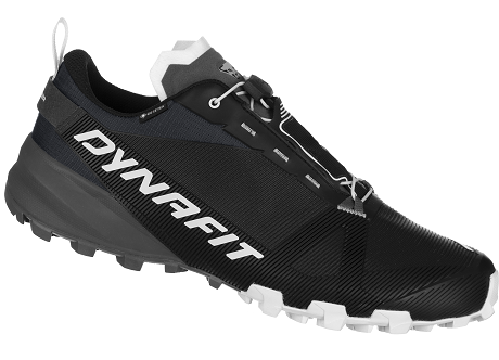 Dynafit Traverse GTX M