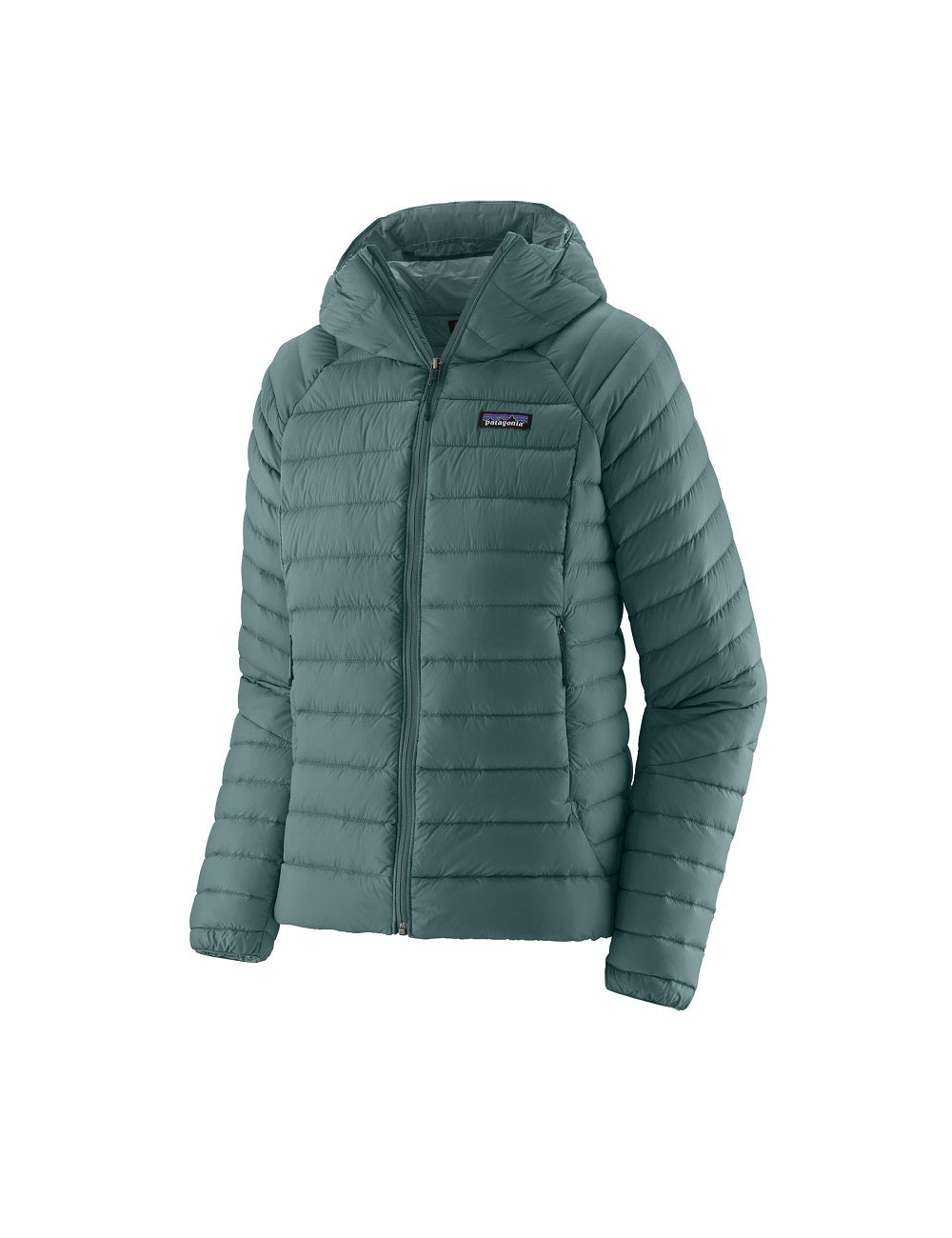 Patagonia Down Sweater Hoody W